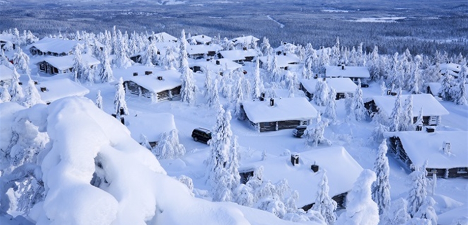 Snowy Reef Tops